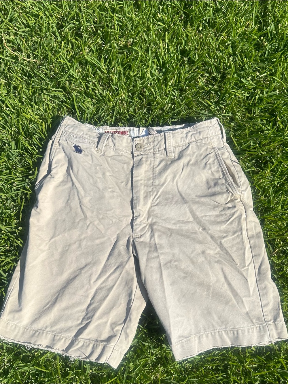 Abercrombie & Fitch Men's Light Khaki Flat Front Shorts Chino Size 30